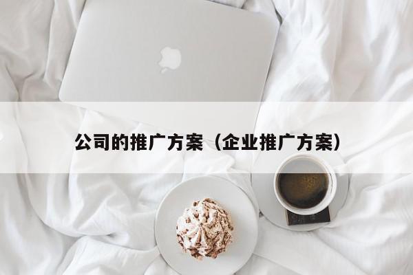 公司的推廣方案(企業(yè)推廣方案)