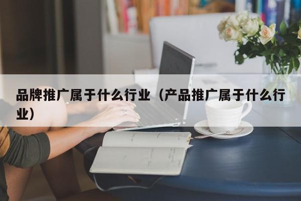 品牌推廣屬于什么行業(yè)(產(chǎn)品推廣屬于什么行業(yè))